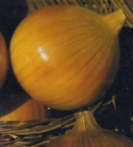 ONIONS - YELLOW SWEET SPANISH  -- OUT OF STOCK --